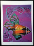 Set of 10 Cards, Prints of Original Indigenous Paintings
