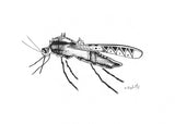 11"x14" ink drawing - Bad Mosquito - The Spiritual Journey Within The Four Directions of Reconciliation