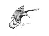 11"x14" ink drawing - Raven Spirit - The Spiritual Journey Within The Four Directions of Reconciliation